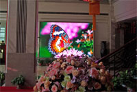 Indoor LED Screens & Indoor LED showcases items