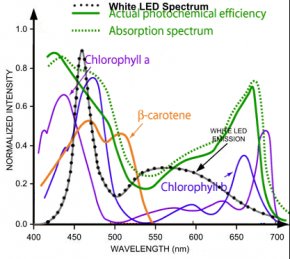 Light Absorption Spectrum for flowers