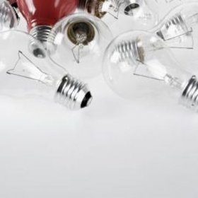 bulbs are available in a variety of sizes and shapes.