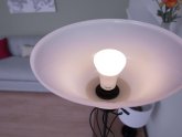 Brightest LED Flood light bulbs