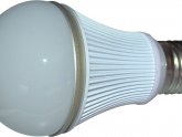 Globe LED Bulbs