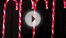 Stake Lights - 4 Large LED Candy Cane Pathway Lighting - 3m